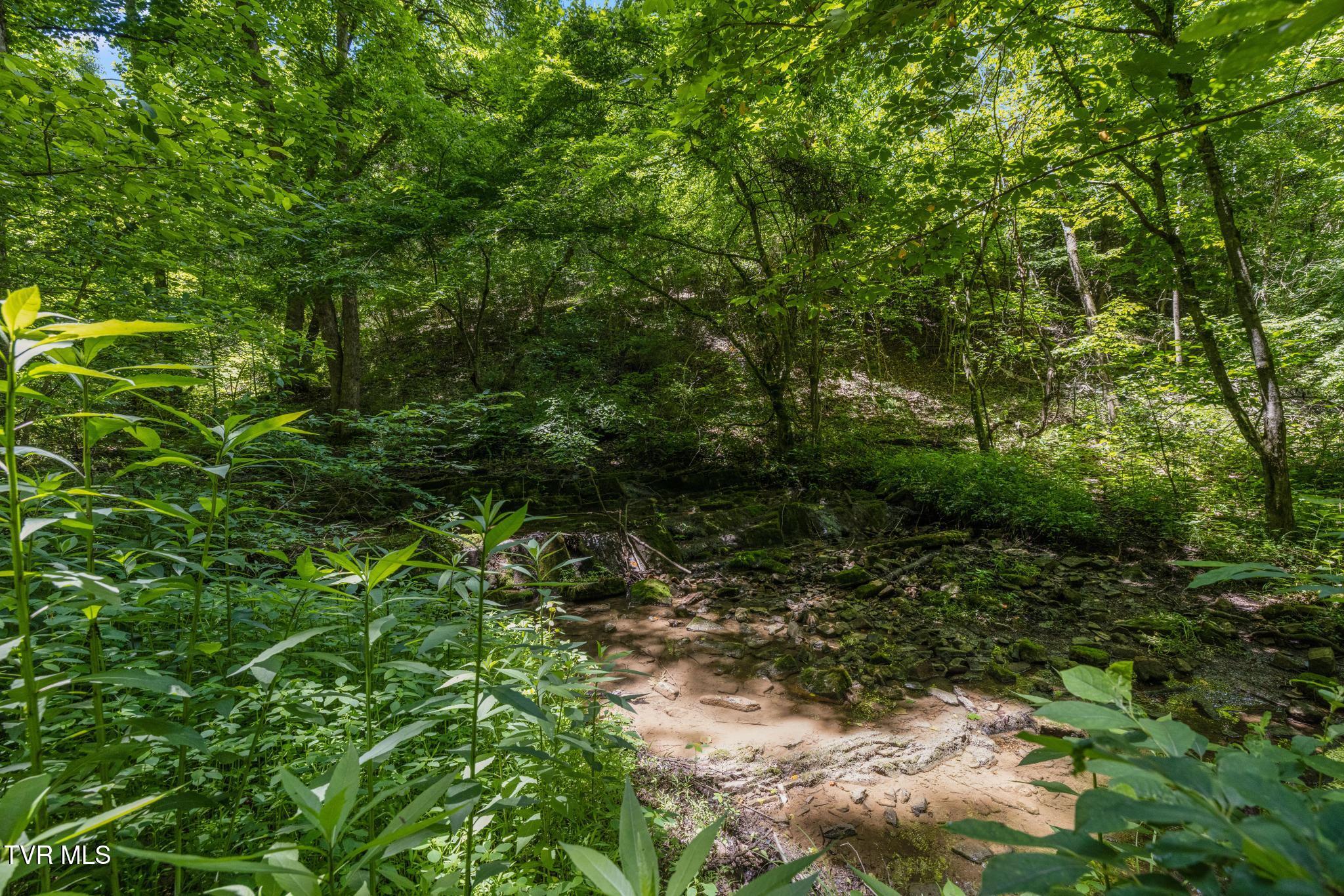 35000 Barrtree Lane Glade Spring, VA 24340 - Photo 78 of 79 IMG_8910