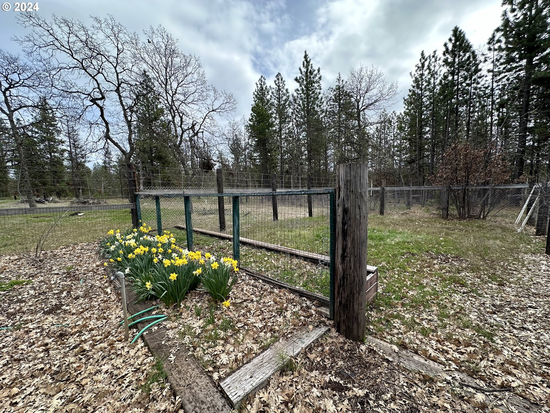 658 Old Mountain Road Goldendale, WA 98620 - Photo 9 of 45 Gallery Image 9