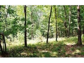9673 South Deckard Ridge Road Nashville, IN 47448 - Photo 4 of 7