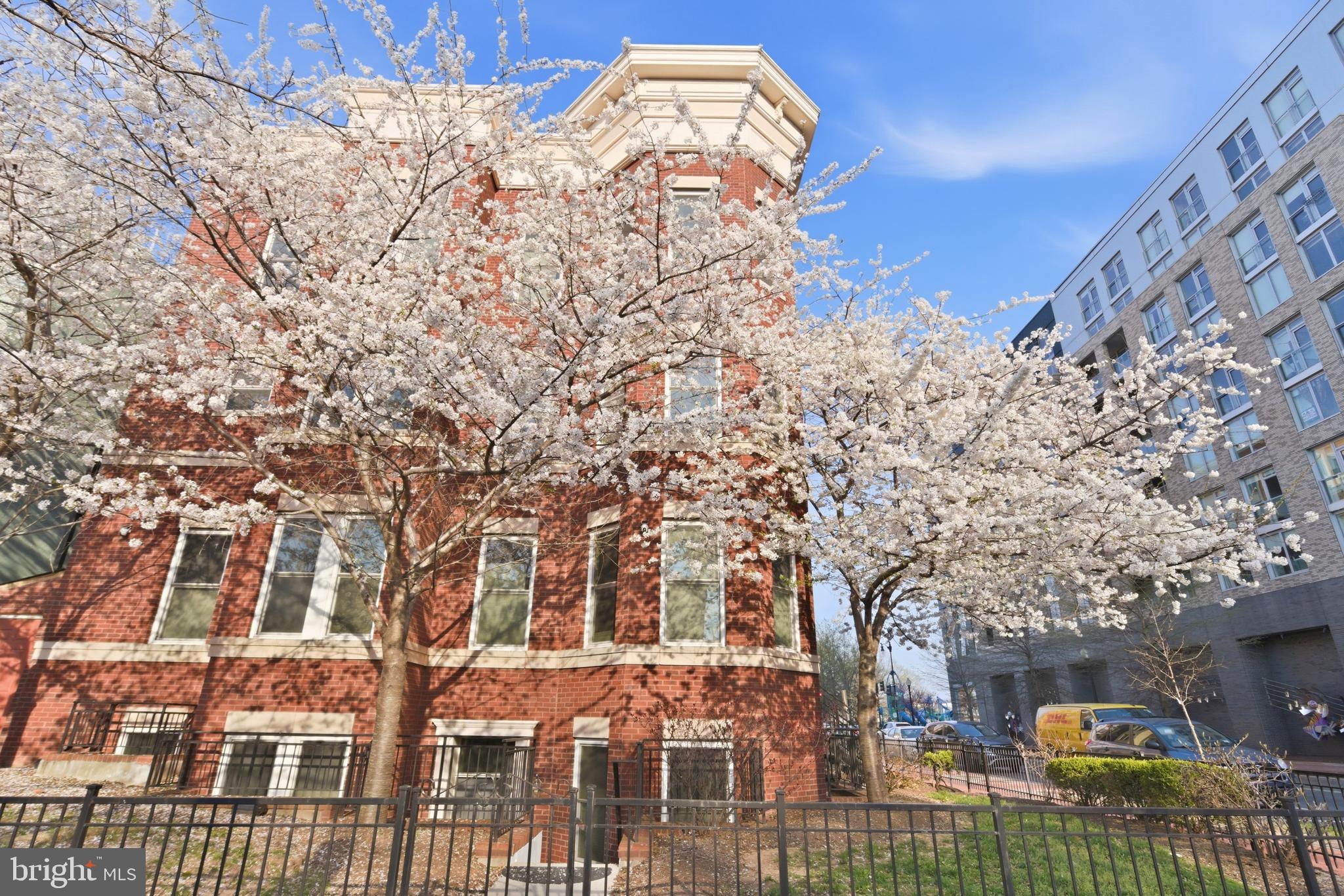751 P Street Northwest, Unit 2 Washington, DC 20001 - Photo 34 of 39 Cherry Blossom View