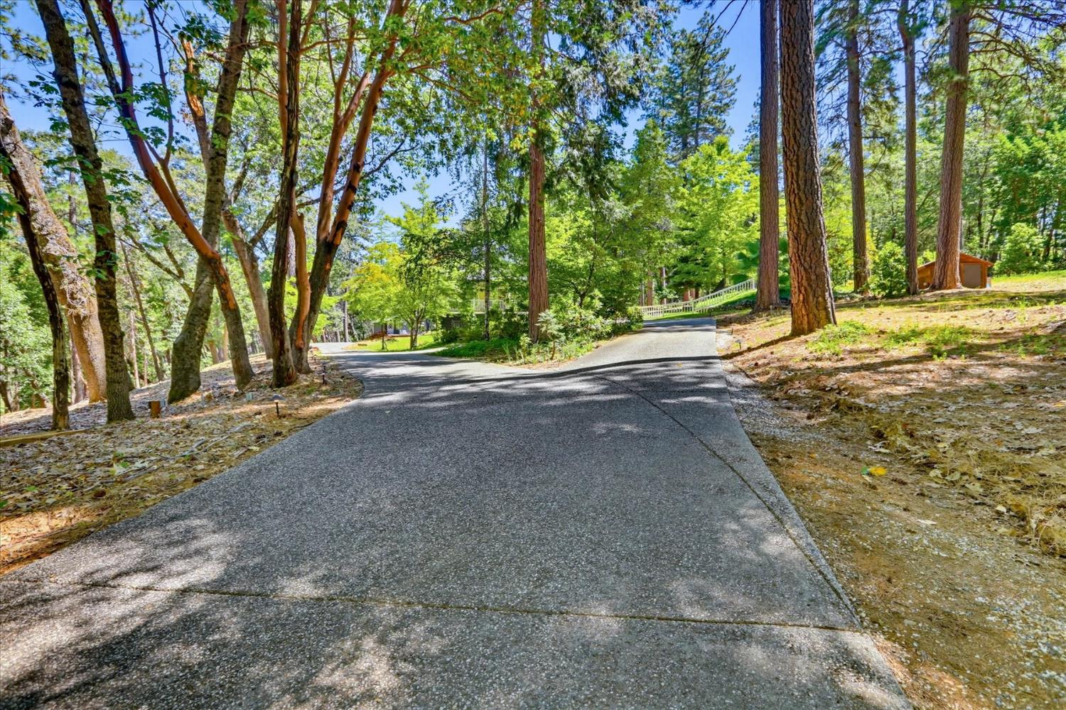 14381 Sunrock Road Nevada City, CA 95959 - Photo 60 of 88
