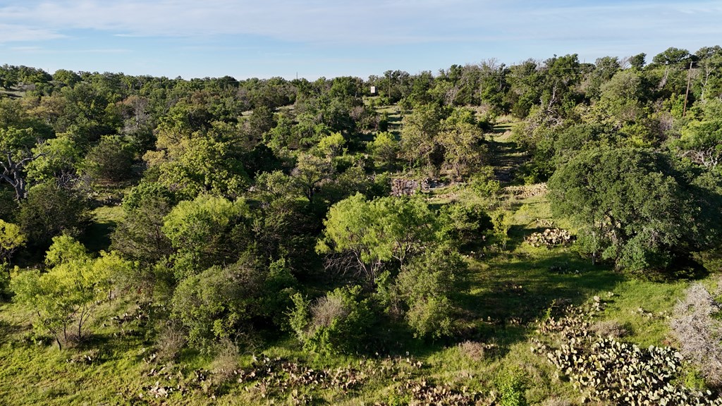 Tbd Tbd Madden Ranch Road Valley Spring, TX 76885 - Photo 11 of 46