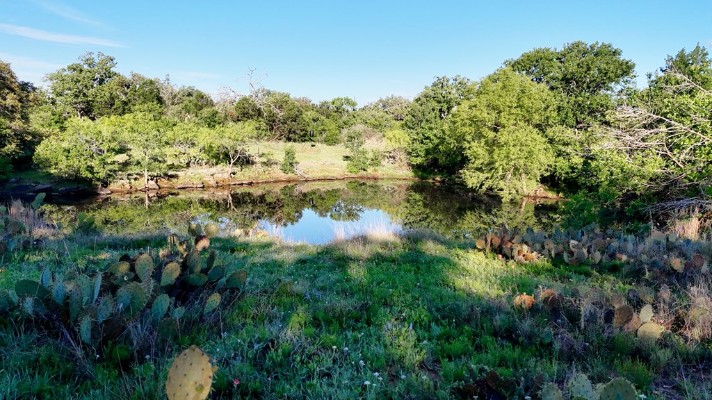 Tbd Tbd Madden Ranch Road Valley Spring, TX 76885 - Photo 14 of 46