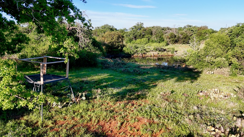 Tbd Tbd Madden Ranch Road Valley Spring, TX 76885 - Photo 16 of 46