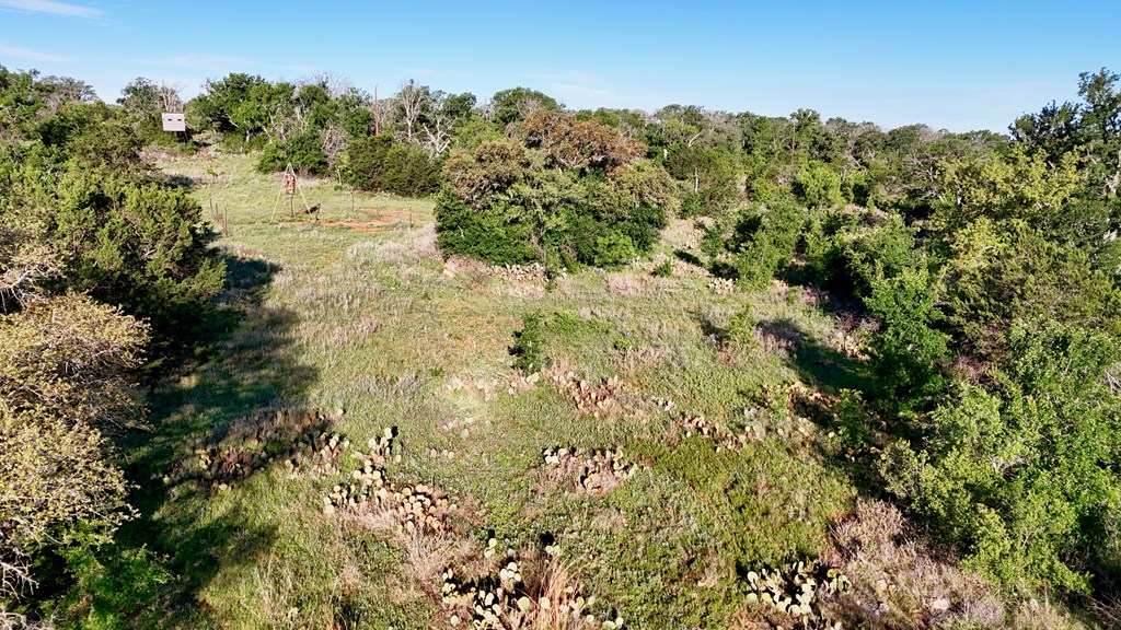 Tbd Tbd Madden Ranch Road Valley Spring, TX 76885 - Photo 20 of 46