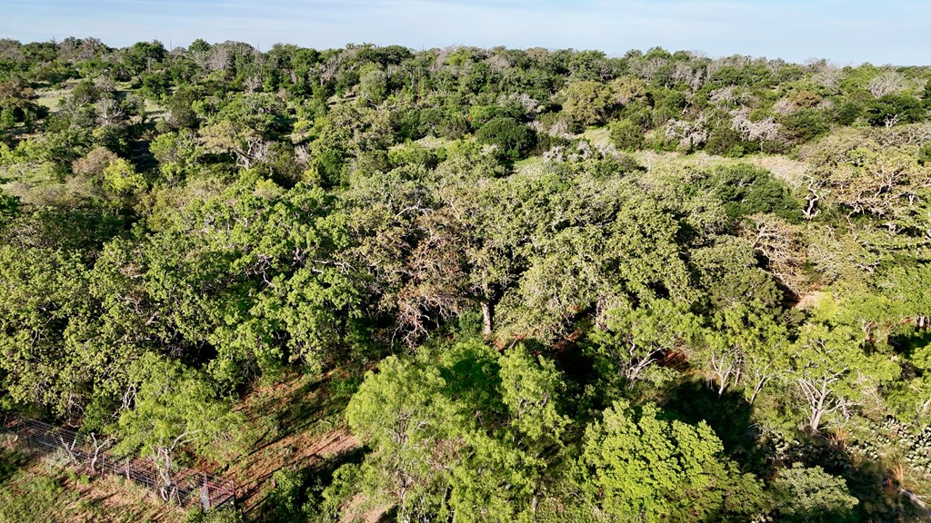 Tbd Tbd Madden Ranch Road Valley Spring, TX 76885 - Photo 27 of 46