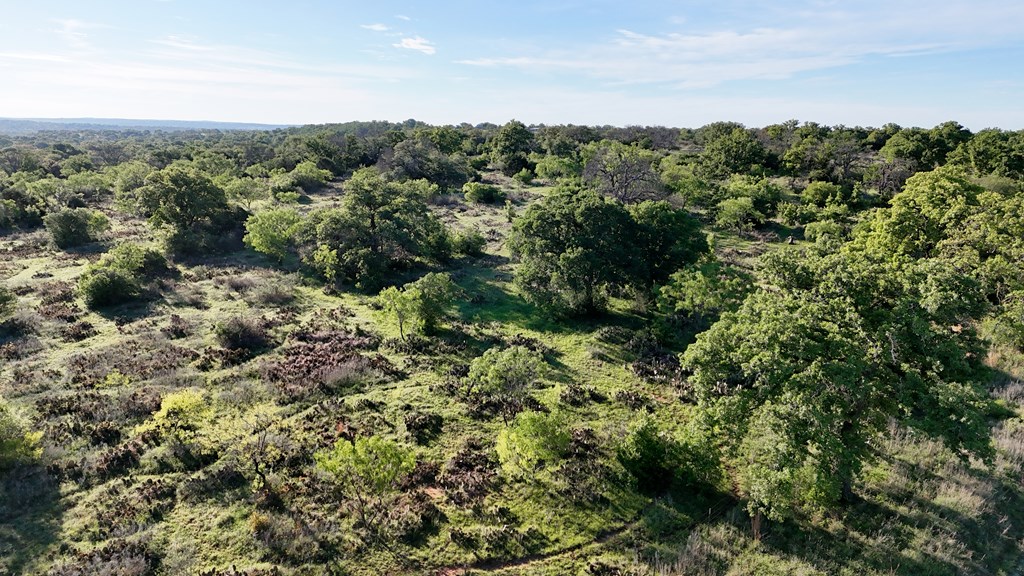 Tbd Tbd Madden Ranch Road Valley Spring, TX 76885 - Photo 37 of 46