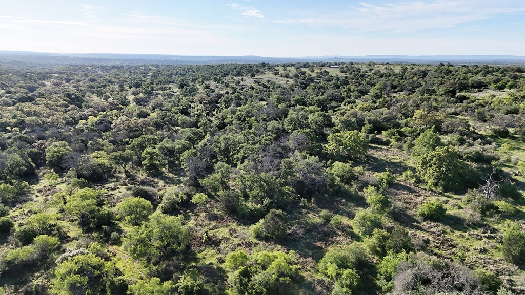 Tbd Tbd Madden Ranch Road Valley Spring, TX 76885 - Photo 38 of 46