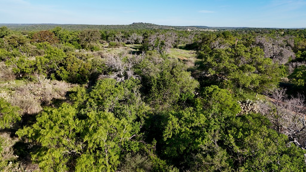 Tbd Tbd Madden Ranch Road Valley Spring, TX 76885 - Photo 41 of 46