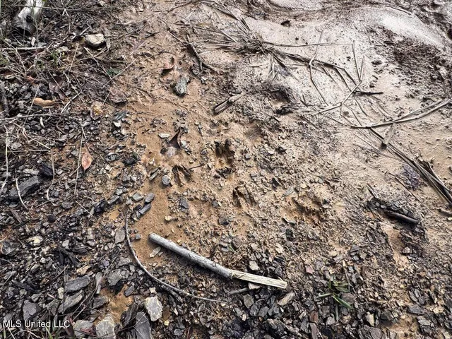 $82,600 | 700 County Road 239, Tillatoba, MS 38961