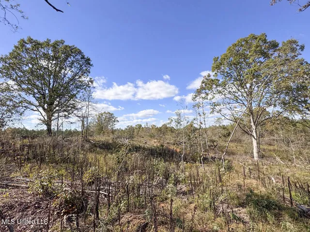 $82,600 | 700 County Road 239, Tillatoba, MS 38961