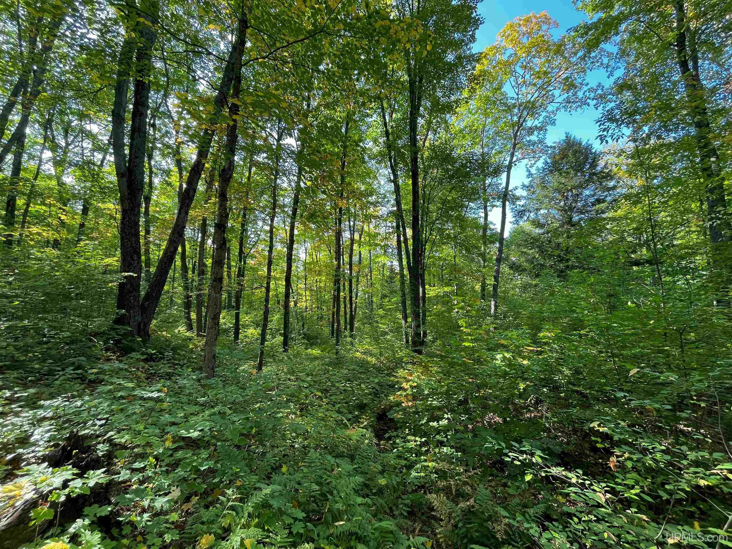 Tbda Worham Road Chassell, MI 49916 - Photo 17 of 28