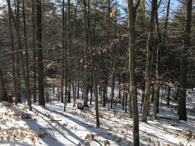 0 Saddleback Road East Baldwin, ME 04024 - Photo 12 of 23 IMG_4642