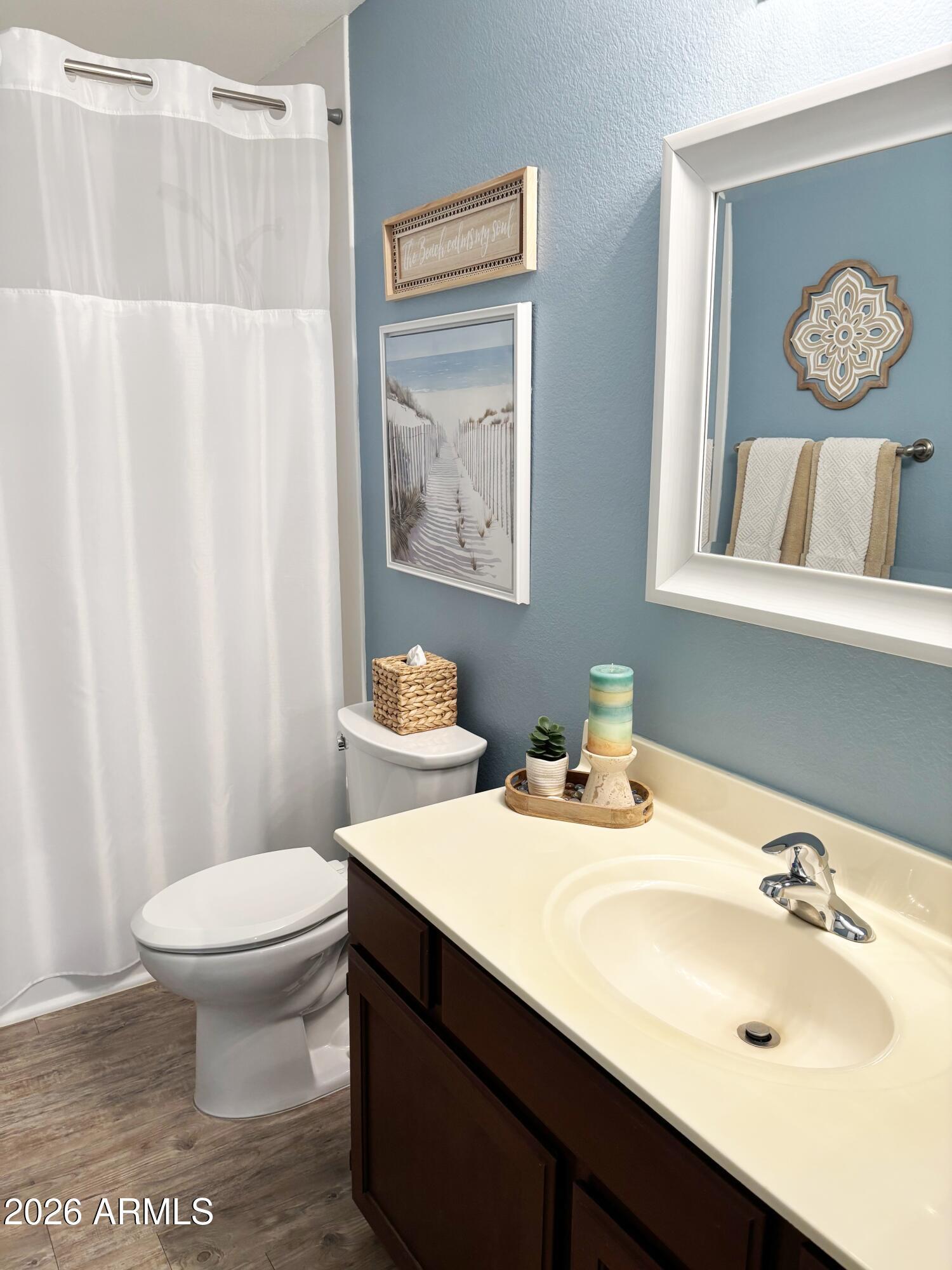 2353 East Willow Wick Road Gilbert, AZ 85296 - Photo 35 of 39 Willow-20-Hall Bath