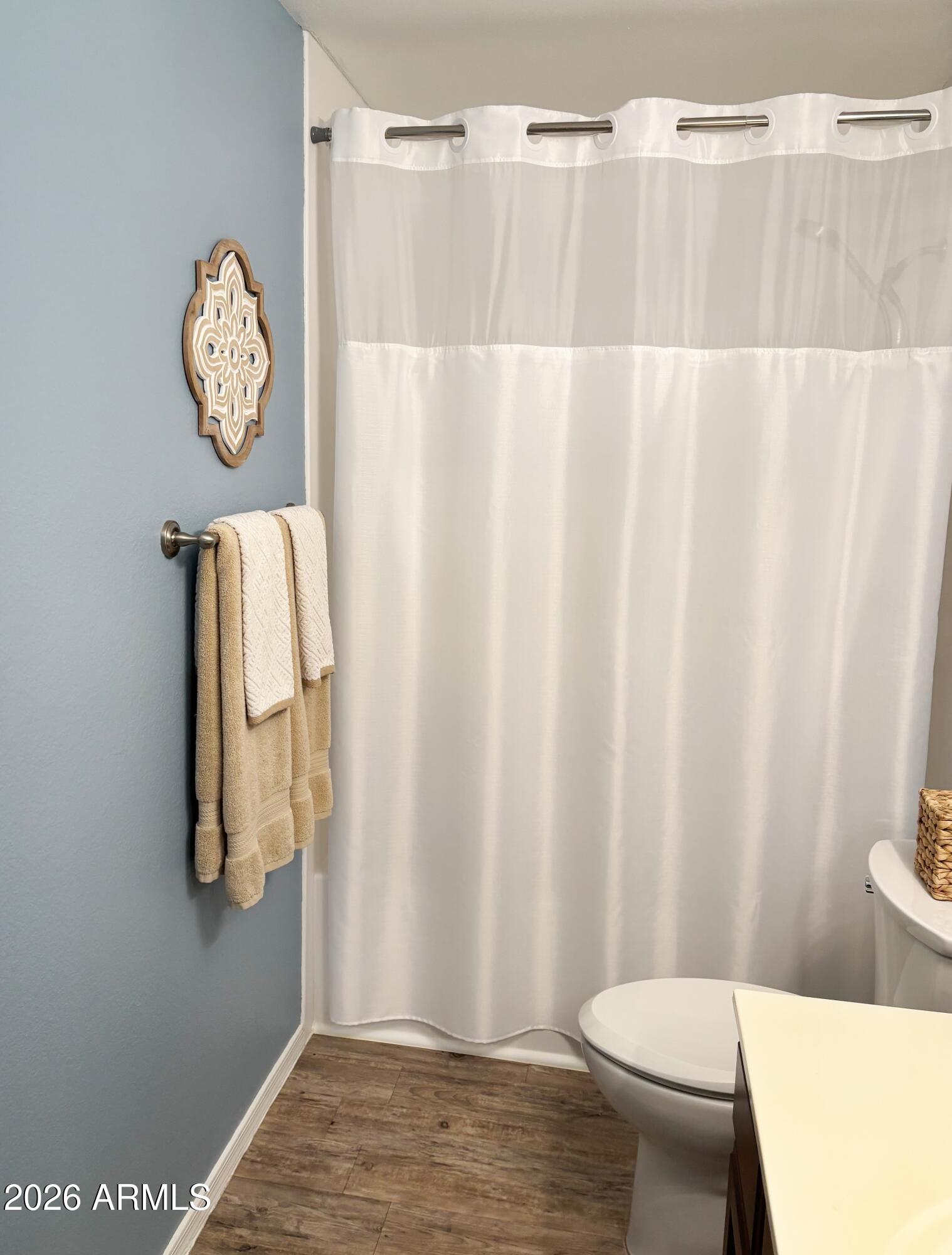 2353 East Willow Wick Road Gilbert, AZ 85296 - Photo 36 of 39 Willow-19-Hall Bath