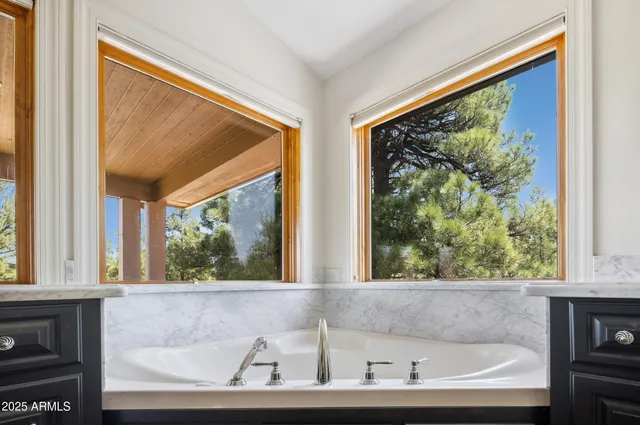 a view of bath tub sitting in a window