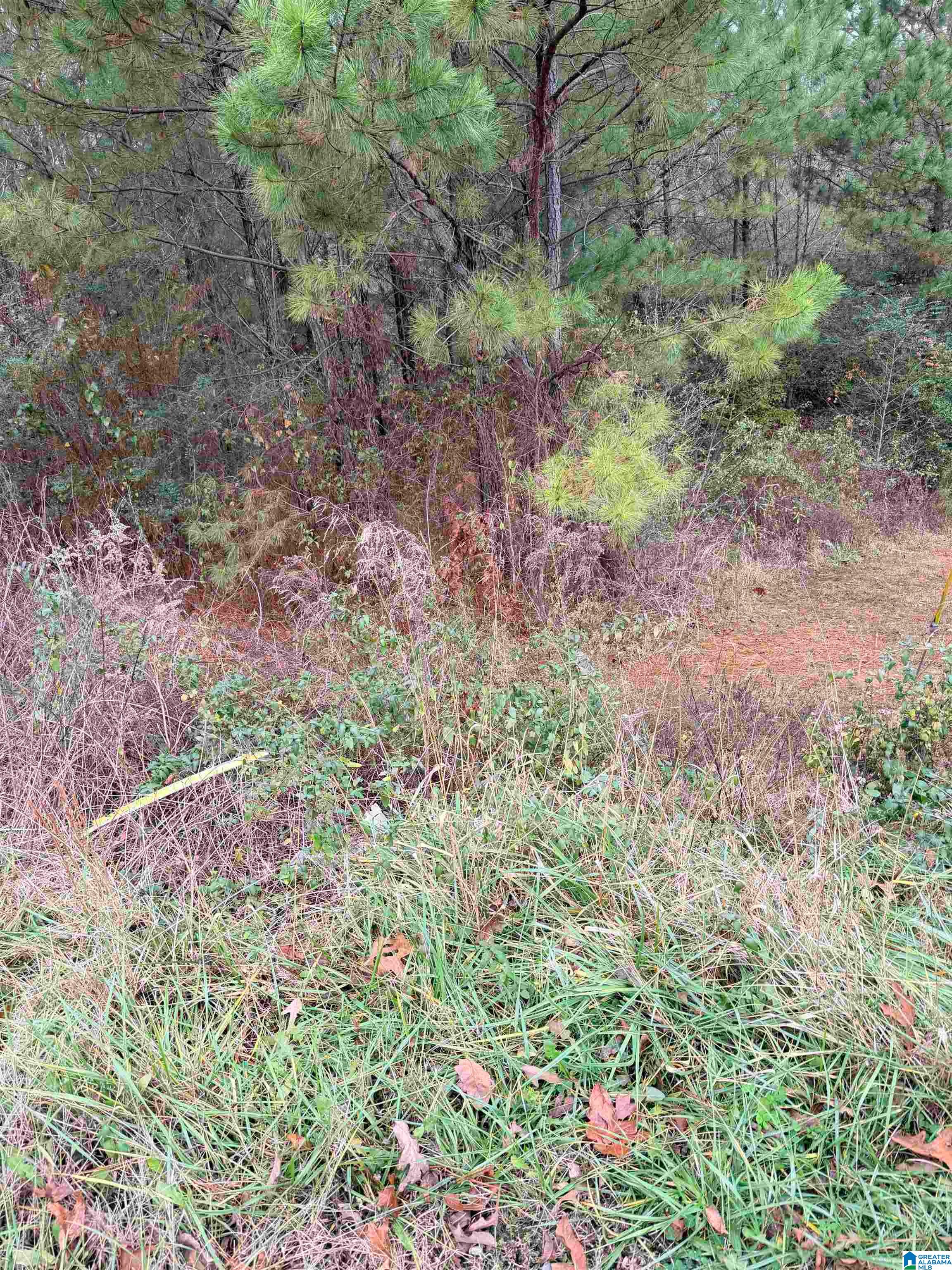 0 Armstrong Loop Hayden, AL 35079 - Photo 1 of 4