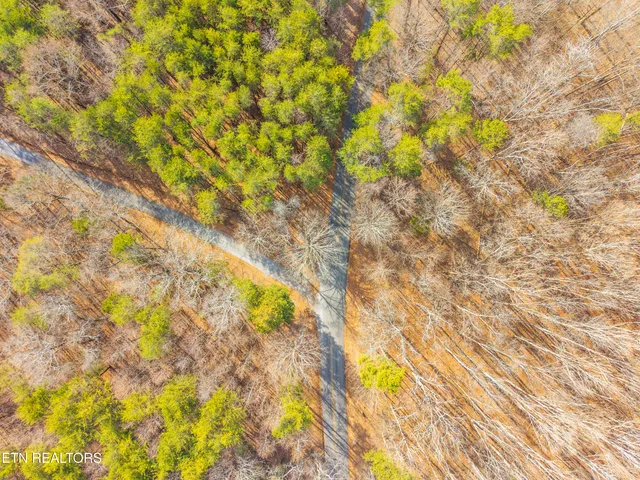 $50,000 | 262 Co Road, Niota, TN 37826