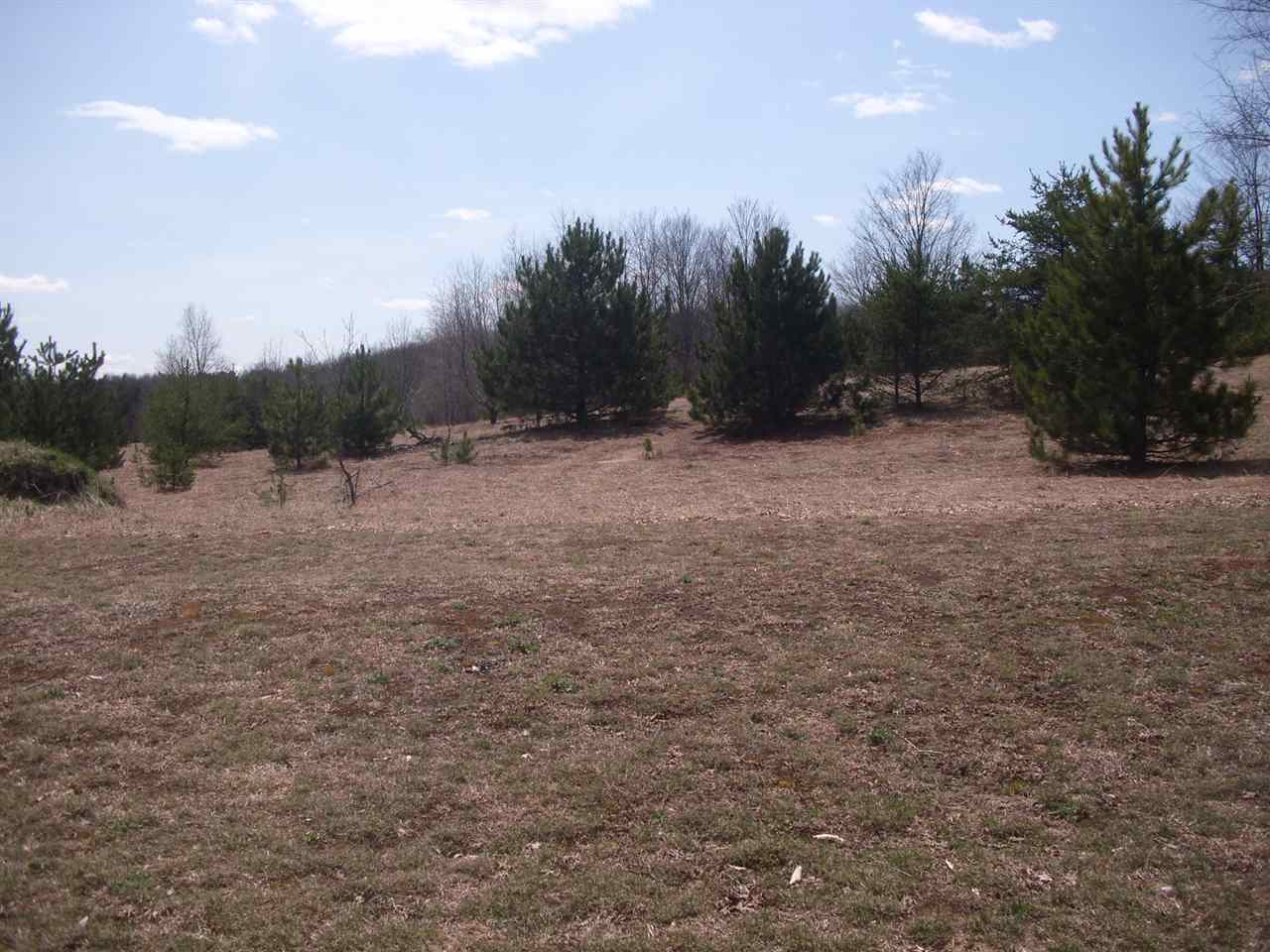 3764 East 28 Road Cadillac, MI 49601 - Photo 54 of 56 1814957-53.JPG