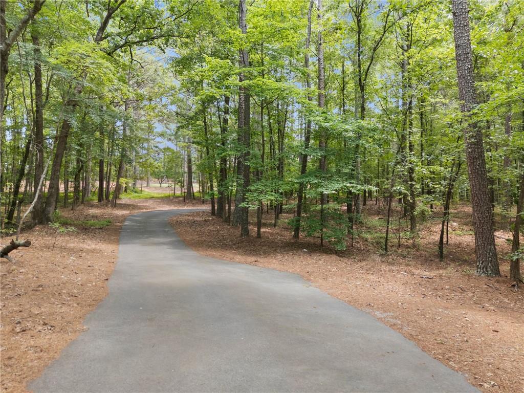 2405 Brooks Road Southeast Dacula, GA 30019 - Photo 58 of 60