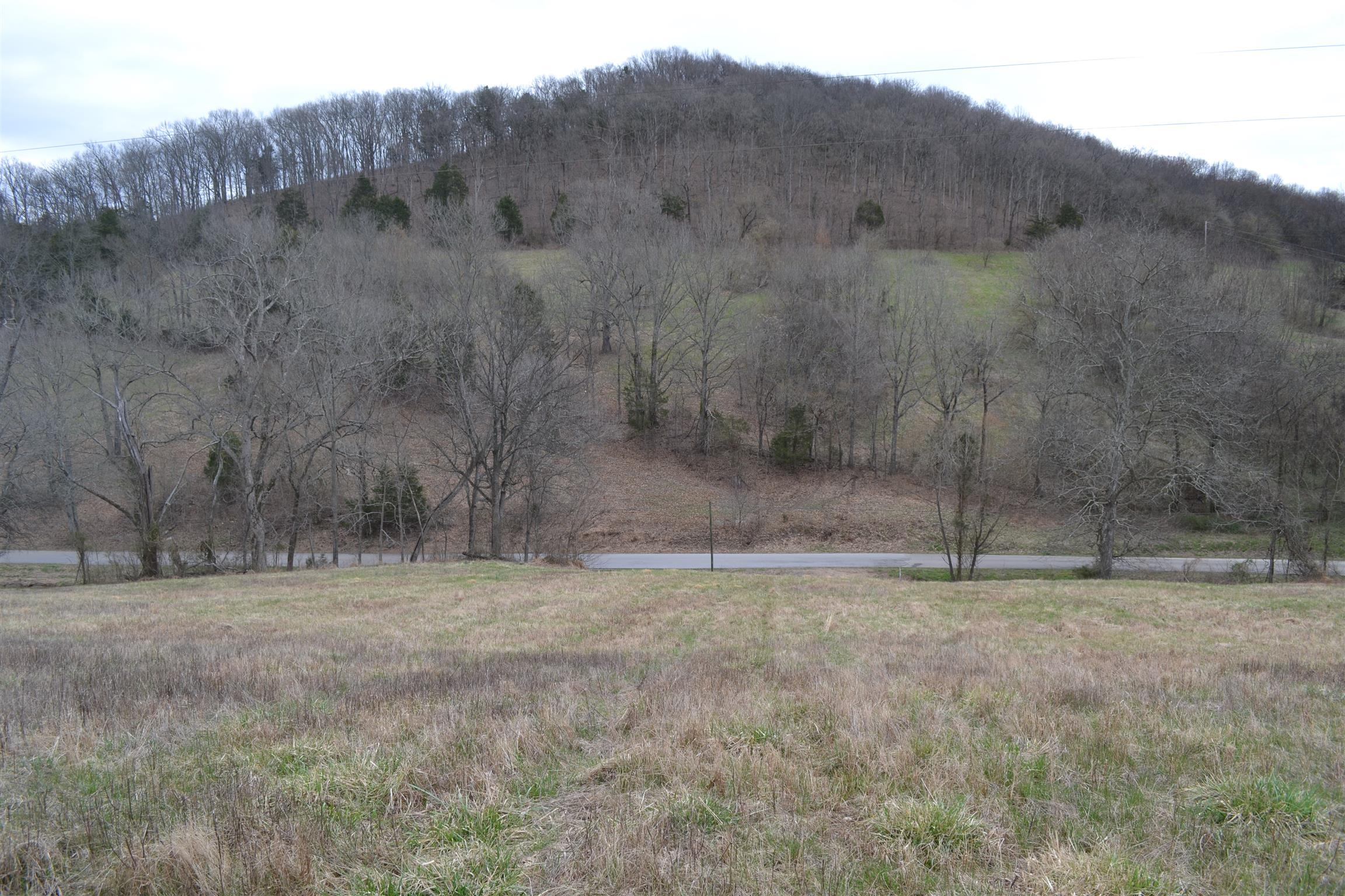 8 Hog Hollow Road Bethpage, TN 37022 - Photo 9 of 21 Gallery Image 9