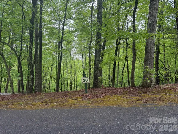 a view of road and trees