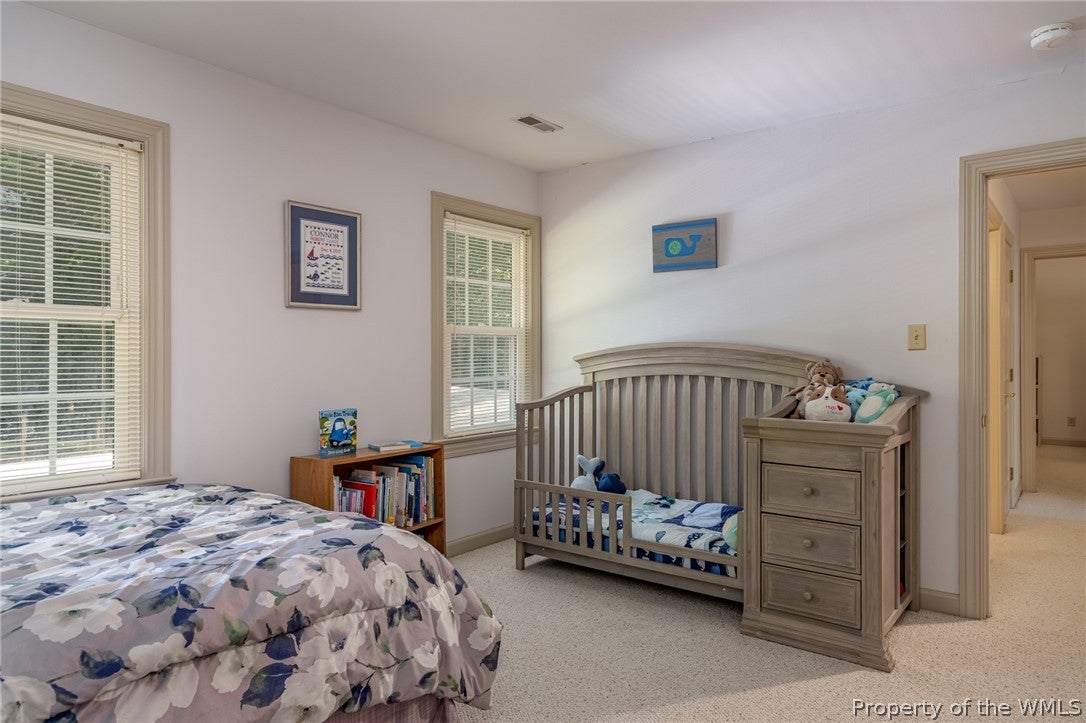 115 Hempstead Road Williamsburg, VA 23188 - Photo 34 of 50 Gallery Image 34