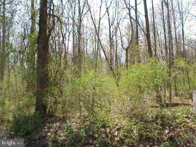Lot 10 Robson Road Dillsburg, PA 17019 - Photo 3 of 3