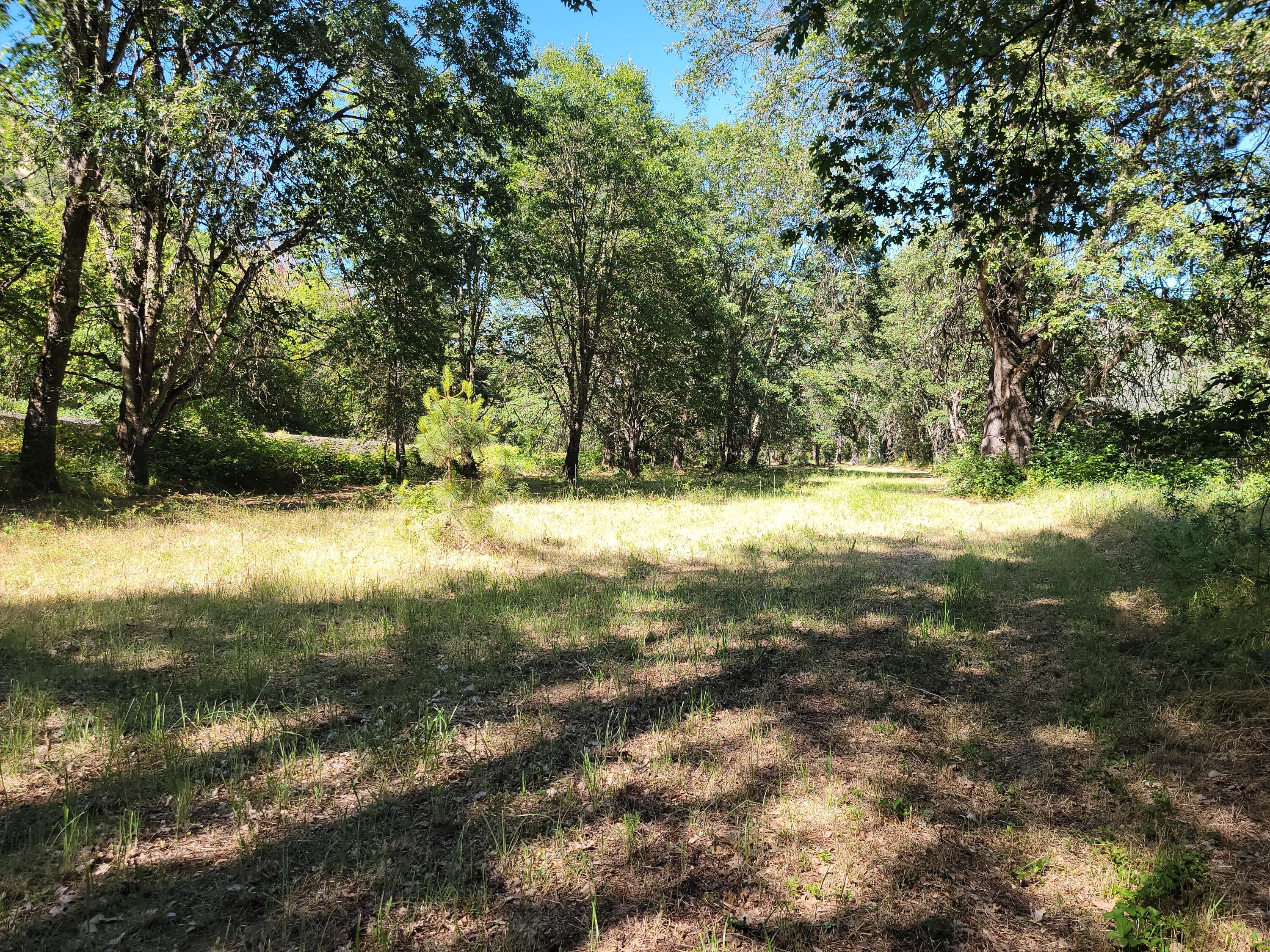 River North Road, Unit 3300 Gold Hill, OR 97525 - Photo 16 of 43 20240605_162702