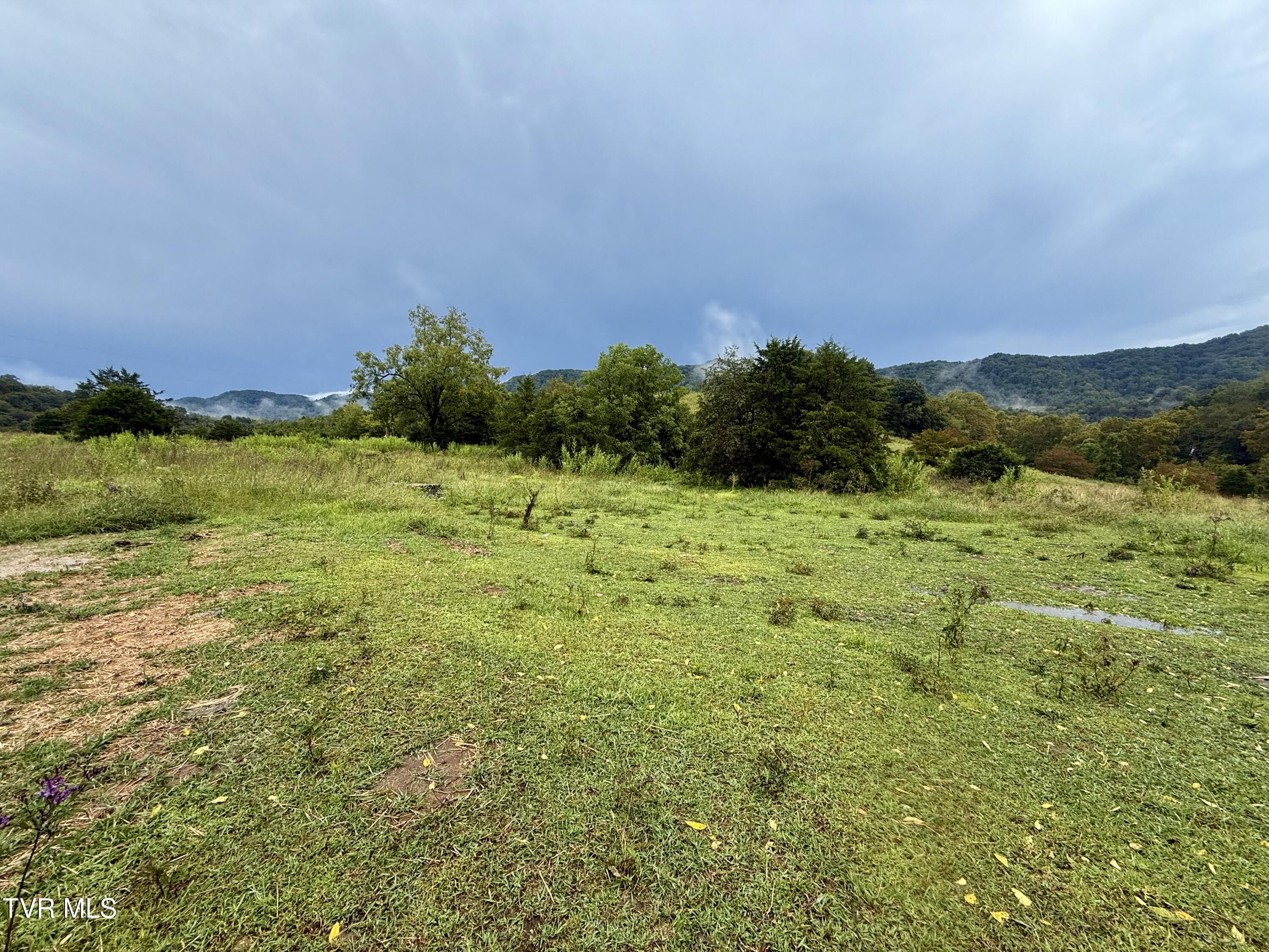 2114 Powell River Road Tazewell, TN 37879 - Photo 65 of 122 _Pic64 (8)