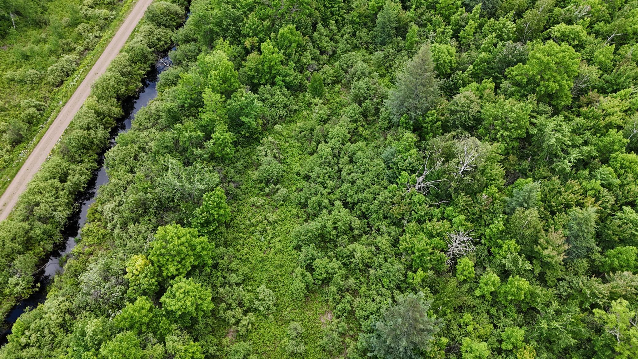 11840 Rice Haven Road Floodwood, MN 55736 - Photo 13 of 27