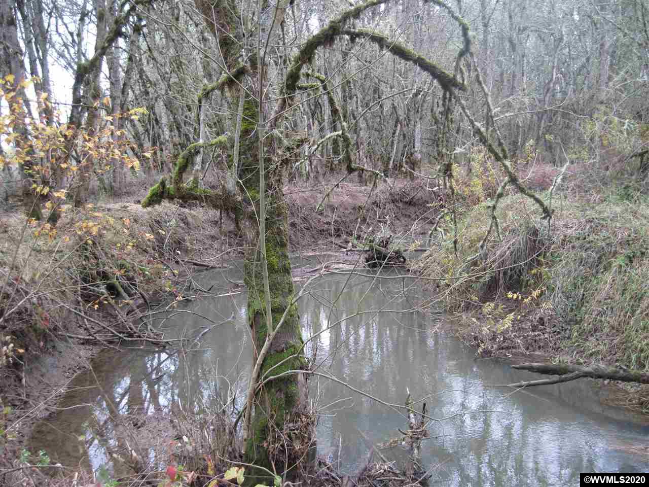 25355 Alpine Road Monroe, OR 97456 - Photo 11 of 18 Gallery Image 11