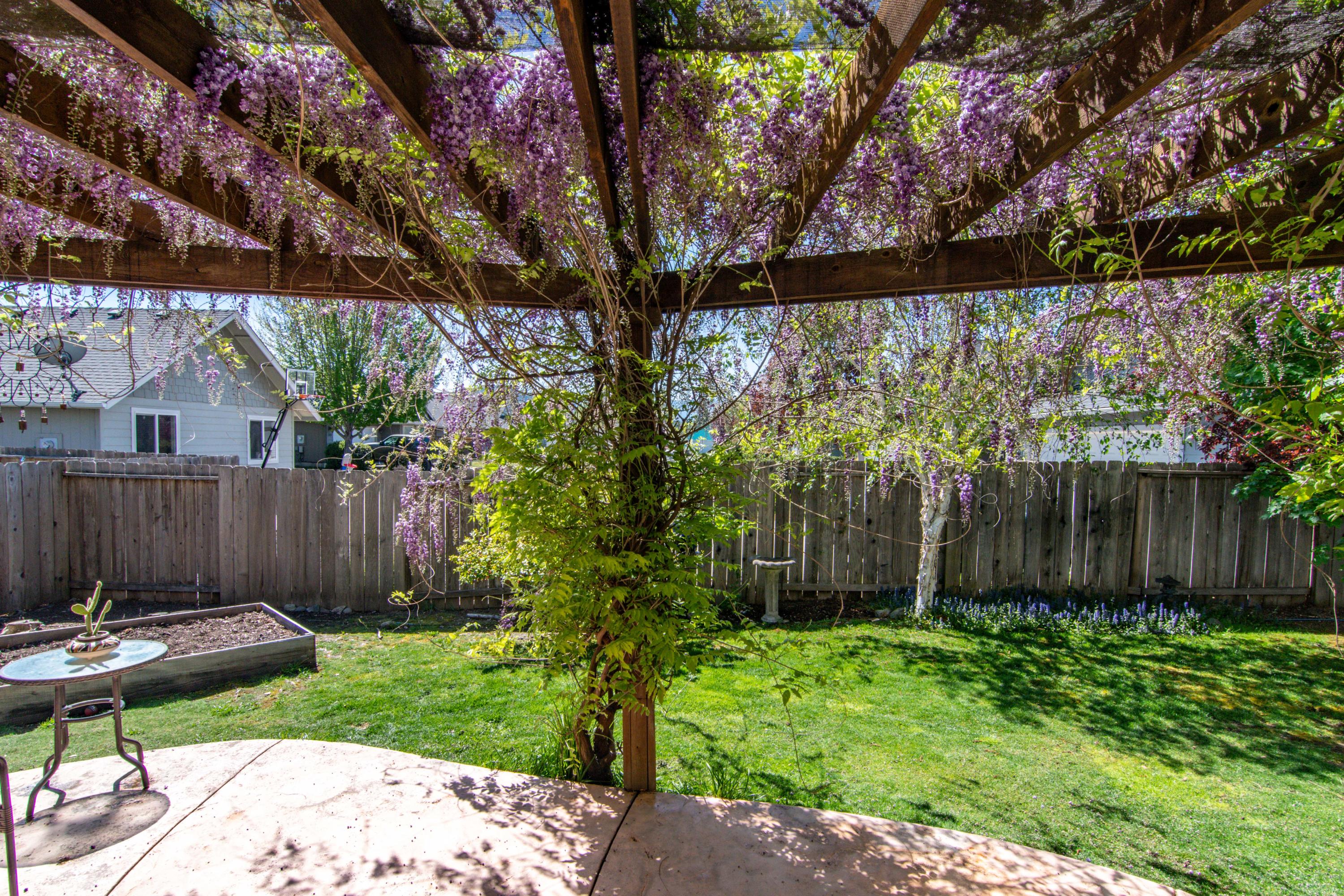 1668 Leonard Road Grants Pass, OR 97527 - Photo 30 of 34 Back Yard