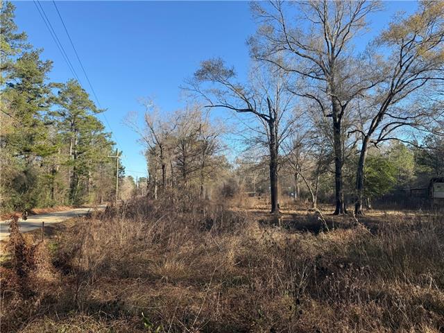 25230 Firetower Road Holden, LA 70744 - Photo 4 of 6