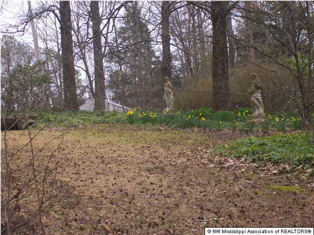 161 Christian College Road Senatobia, MS 38668 - Photo 16 of 20 Additional Photo