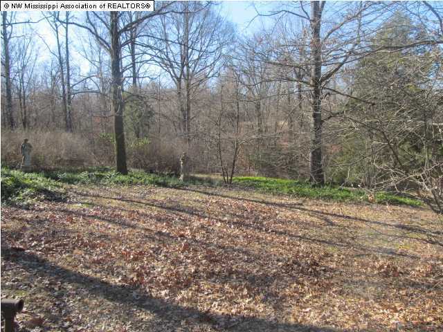 161 Christian College Road Senatobia, MS 38668 - Photo 2 of 20 Additional Photo