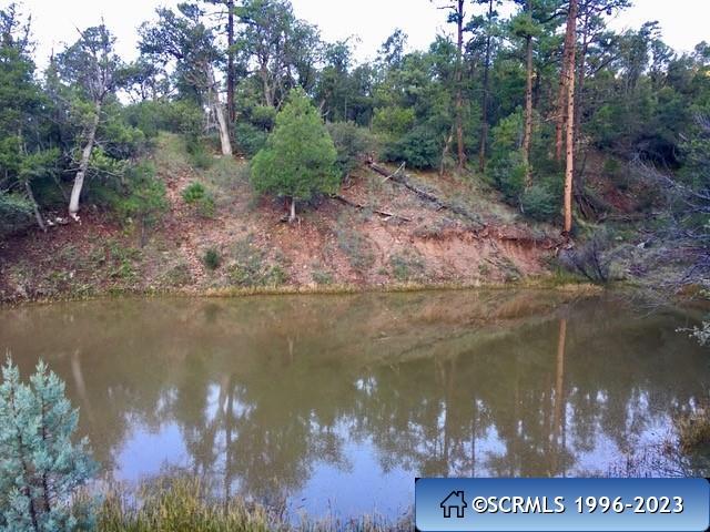 287 Cooney Road Mimbres, NM 88049 - Photo 19 of 21 Gallery Image 19