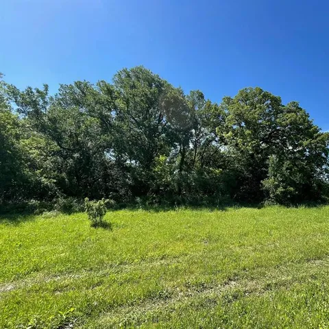 a view of garden with trees