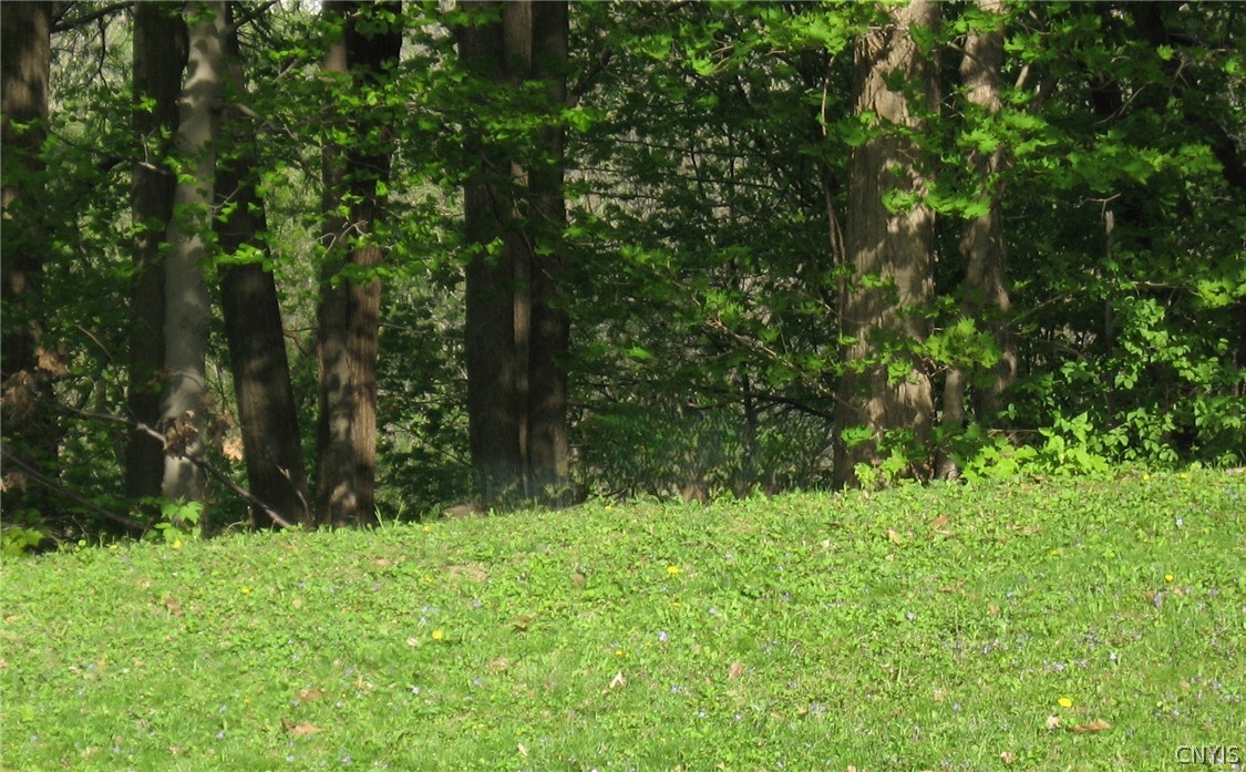 126 Jay Street Sullivan, NY 13037 - Photo 36 of 38 Summer view of the backyard. Foliage provides ple