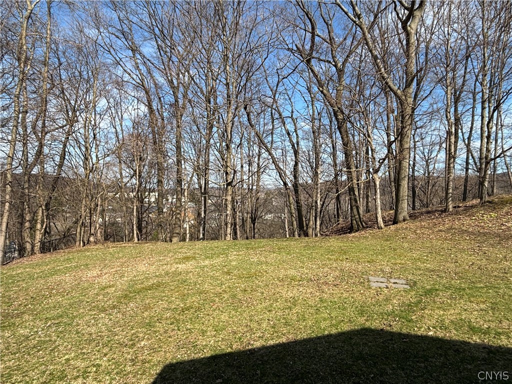 126 Jay Street Sullivan, NY 13037 - Photo 37 of 38 View from the patio.