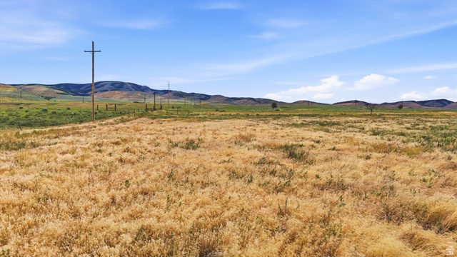 16013 North 6125th Street West Riverside, UT 84334 - Photo 8 of 10 Expansive open land featuring golden grasses and a distant mountainous backdrop