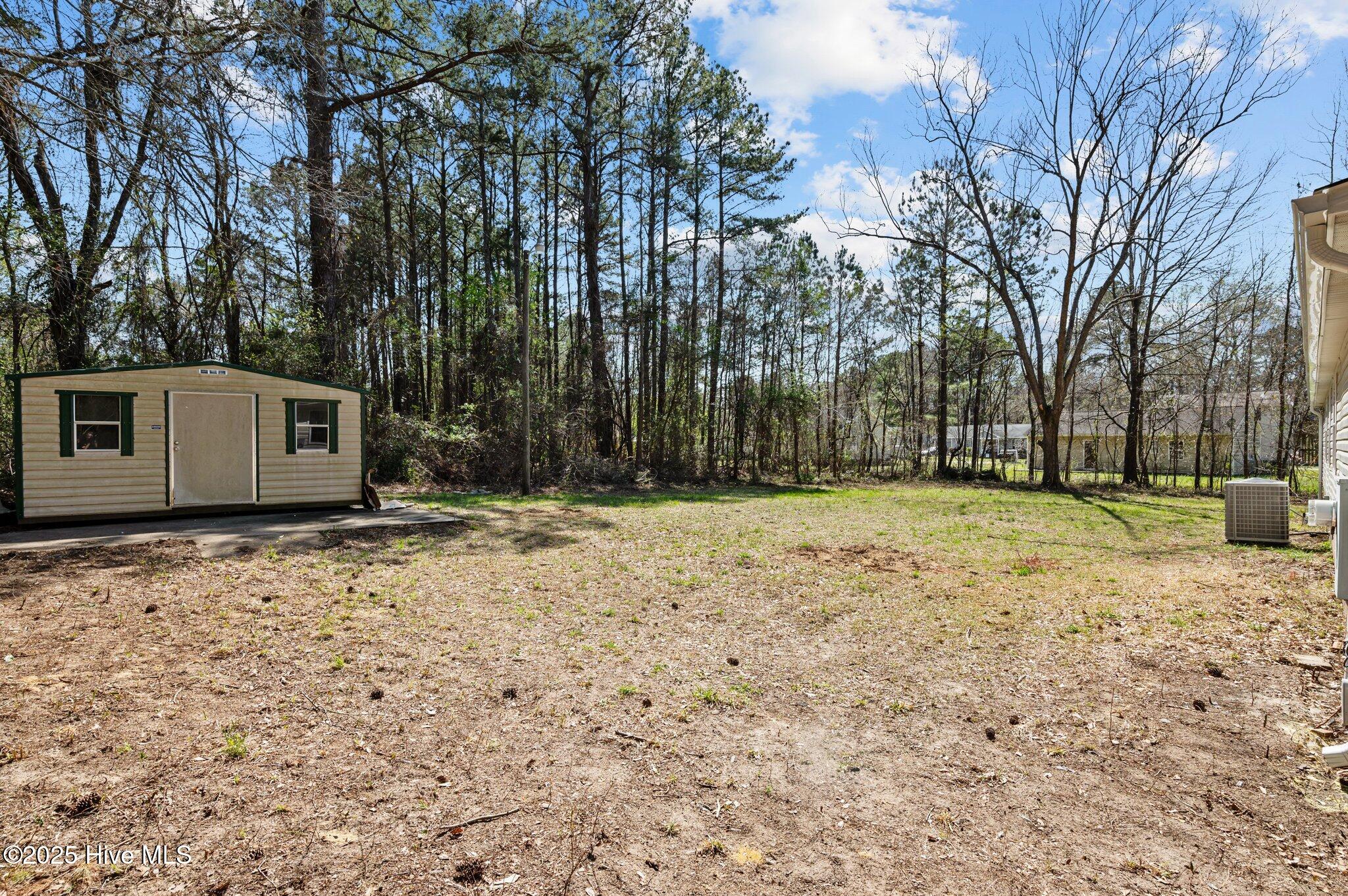 214 Suggs Street Princeville, NC 27886 - Photo 30 of 41 16-web-or-mls-LHV_6341