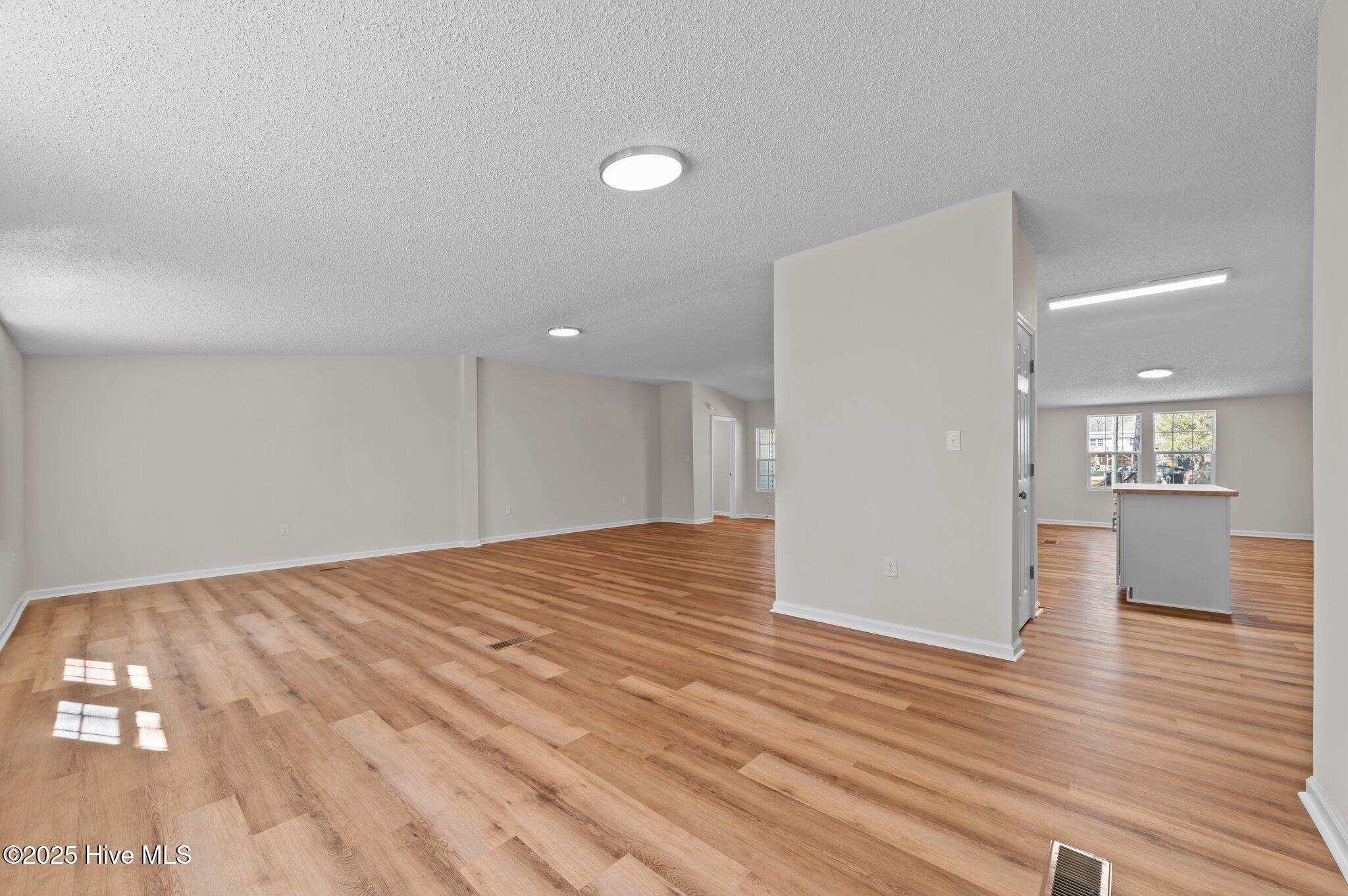 214 Suggs Street Princeville, NC 27886 - Photo 9 of 41 25-web-or-mls-LHV_6365