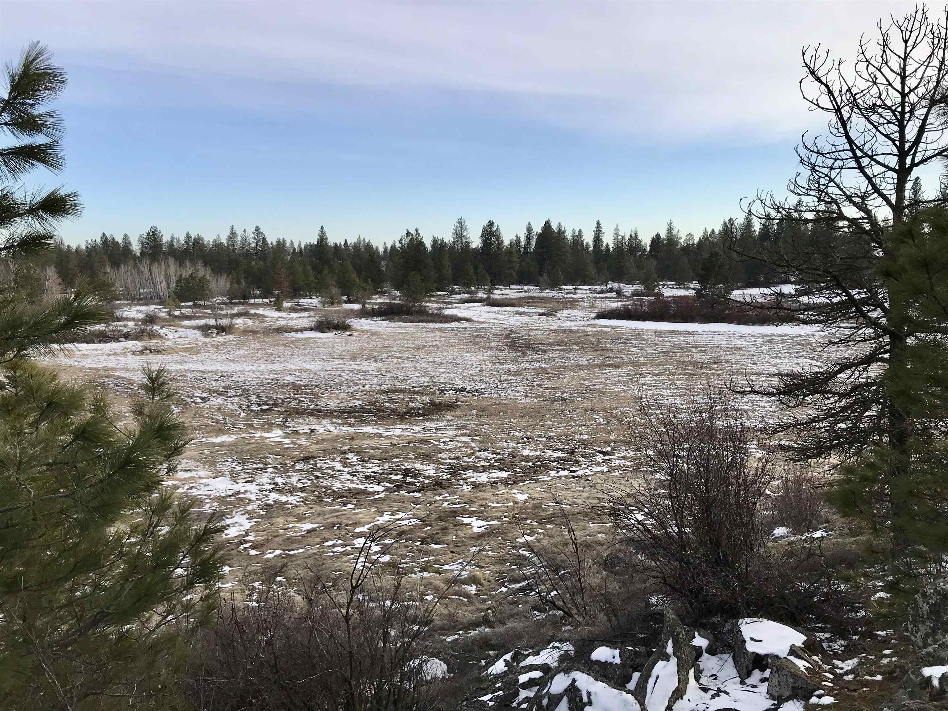 X10 West Deno Road Spokane, WA 99224 - Photo 1 of 29