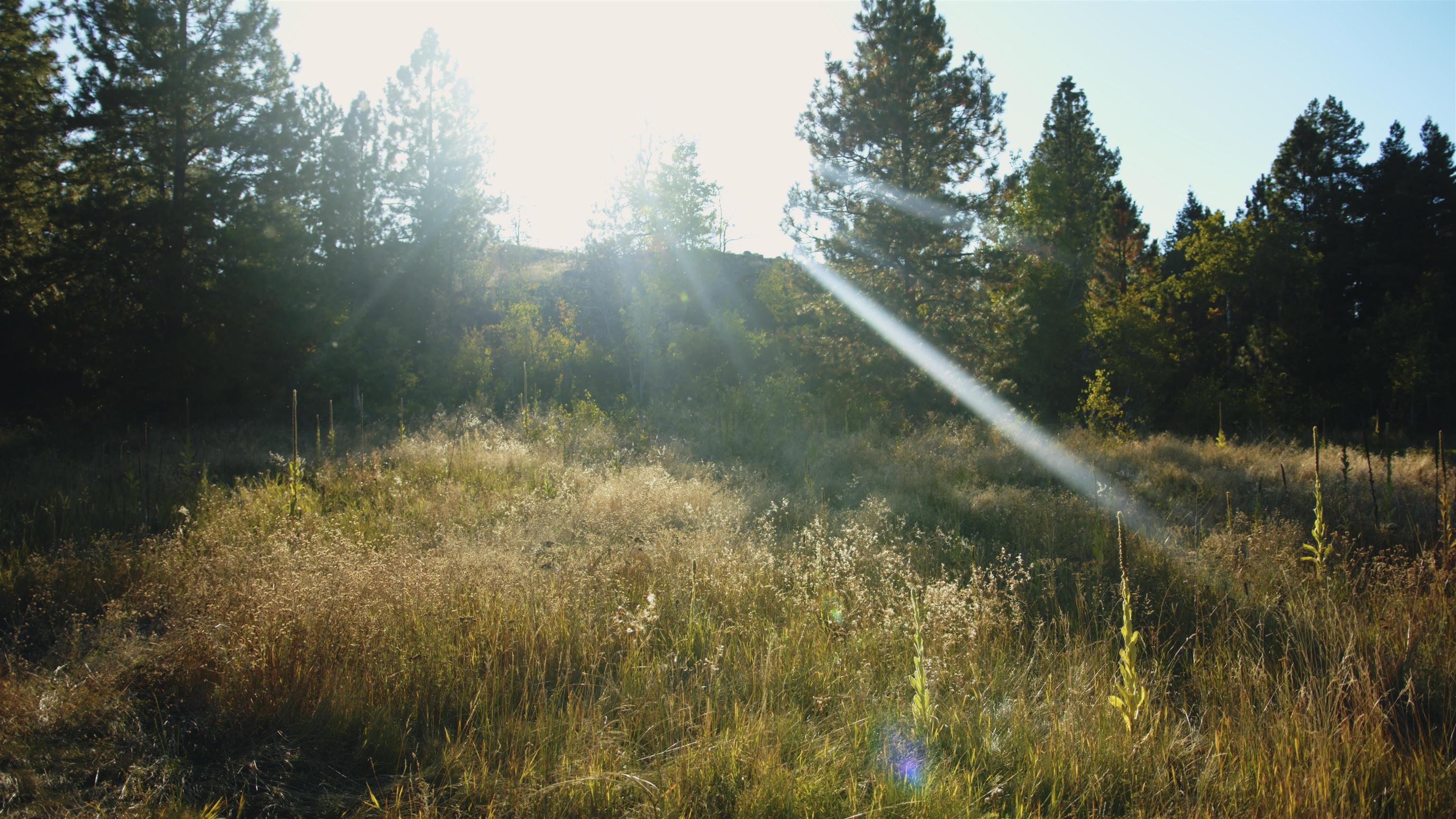 X10 West Deno Road Spokane, WA 99224 - Photo 13 of 29