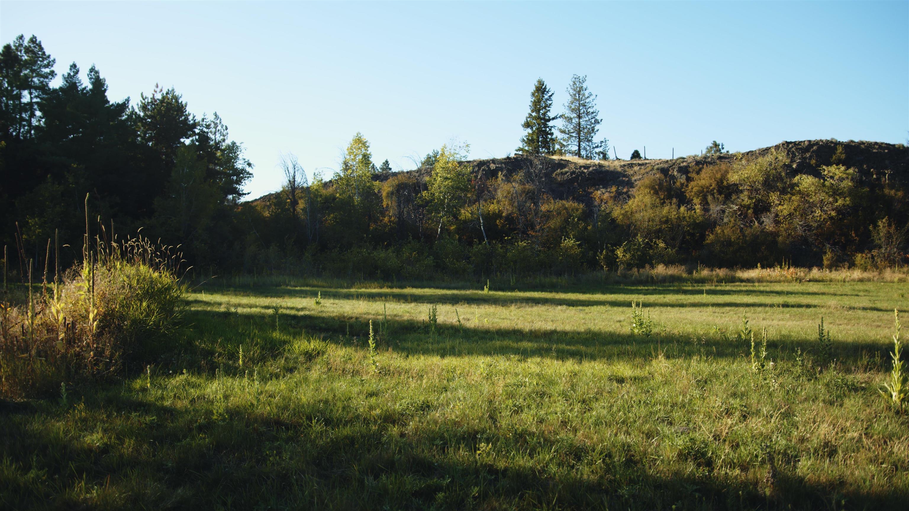 X10 West Deno Road Spokane, WA 99224 - Photo 16 of 29