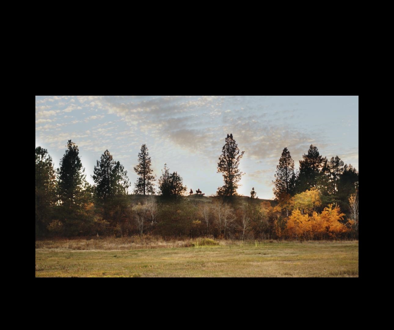 X10 West Deno Road Spokane, WA 99224 - Photo 20 of 29