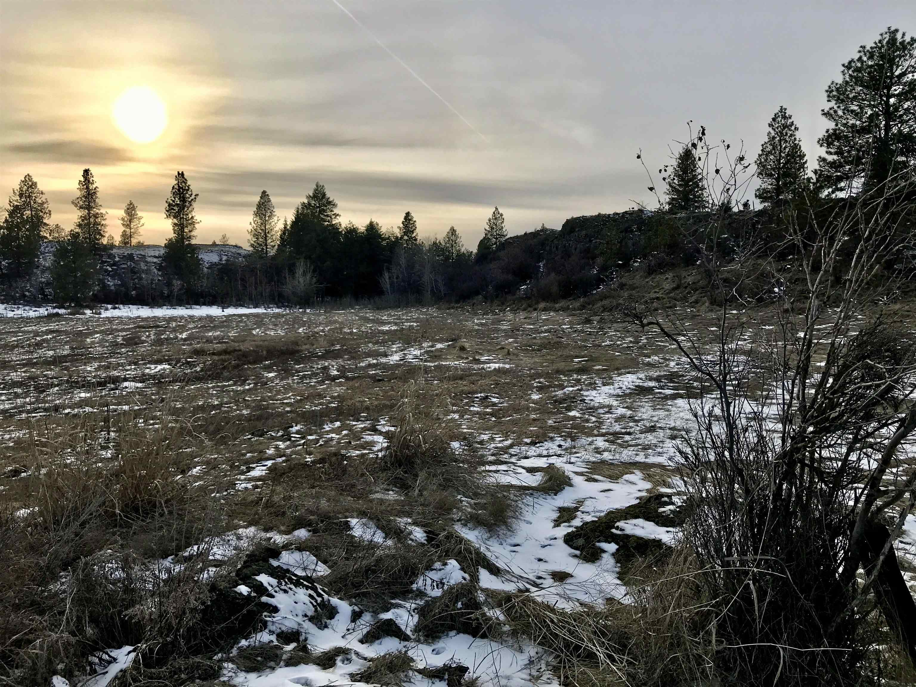 X10 West Deno Road Spokane, WA 99224 - Photo 2 of 29