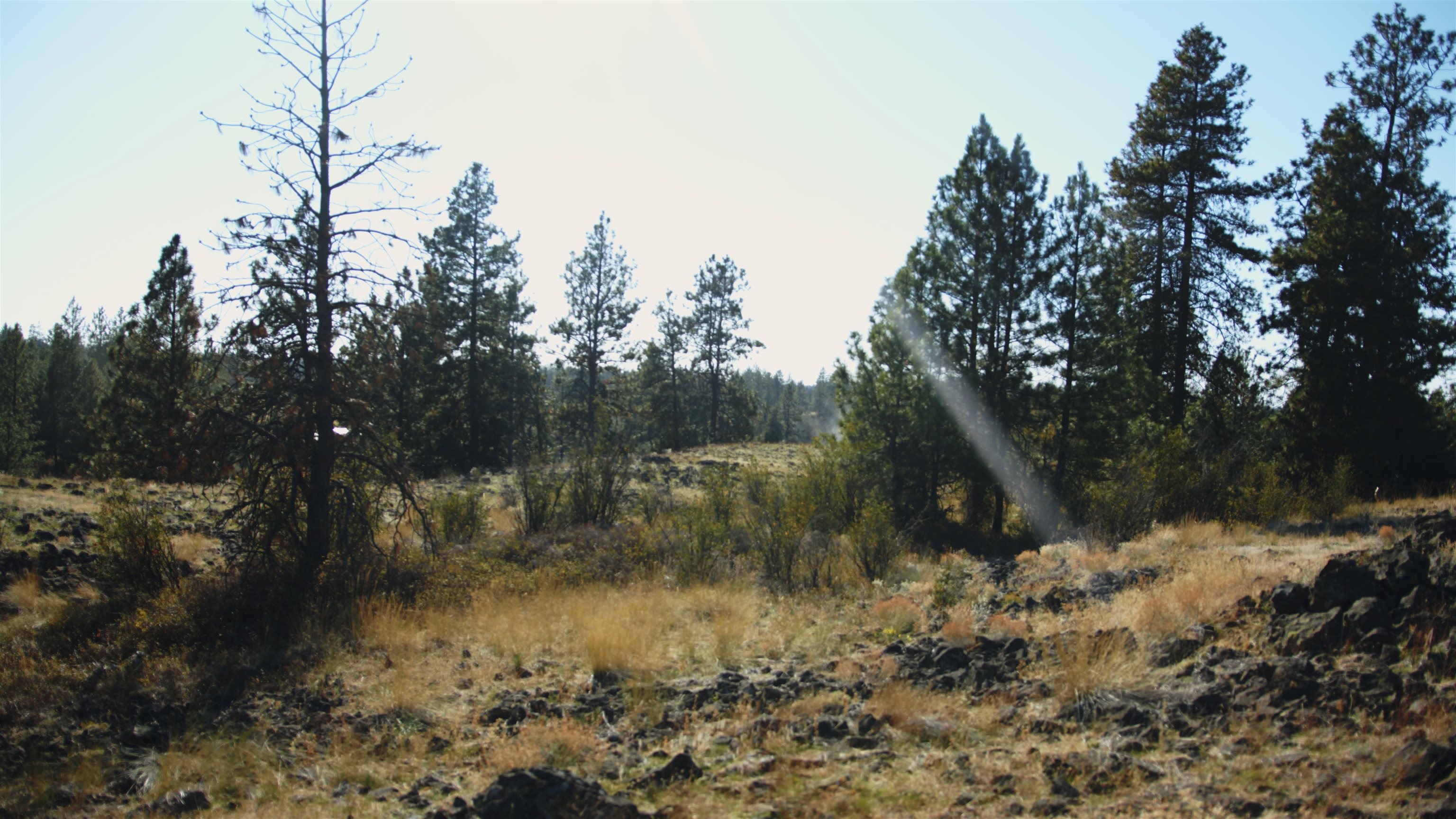 X10 West Deno Road Spokane, WA 99224 - Photo 24 of 29