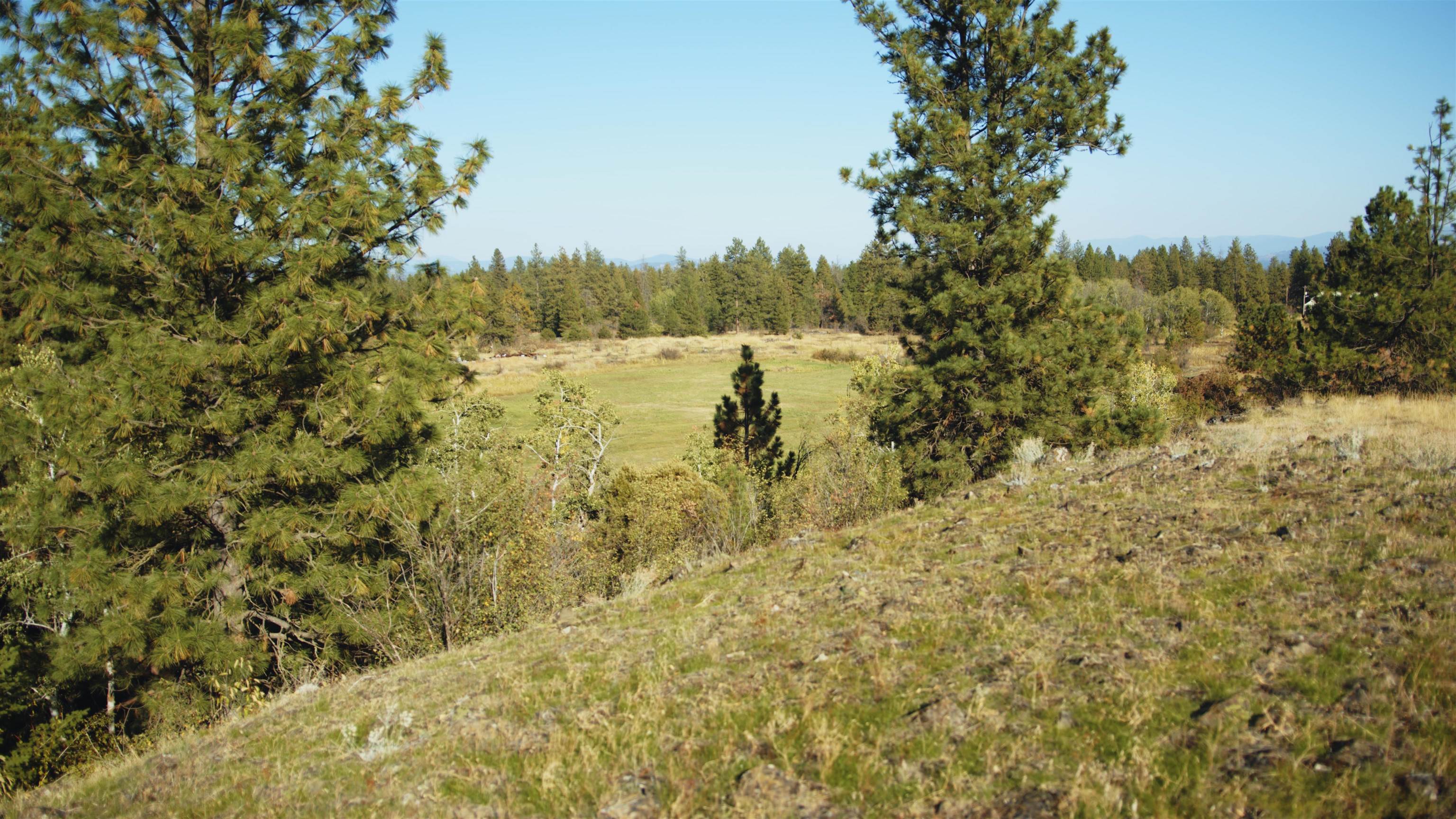 X10 West Deno Road Spokane, WA 99224 - Photo 26 of 29
